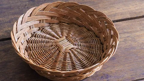 江苏女子手球队夺得中国手球超级联赛冠军头衔