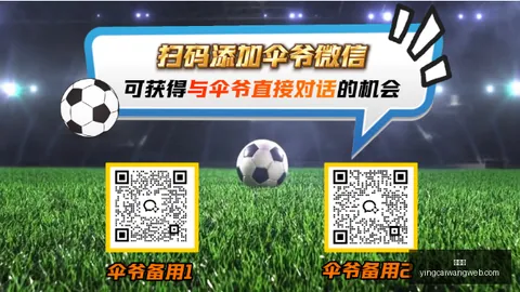 篮球攻略世预赛焦点战：尼日利亚几内亚，精彩对决不容错过
