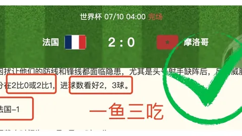 赢彩网 062031 8